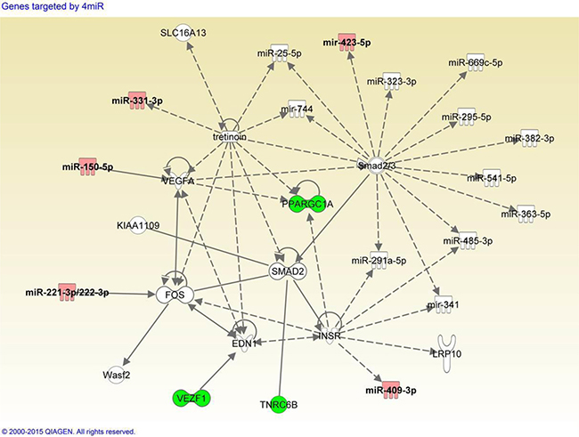 Integrative network analysis of 3-miRNA ratio combination panel and putative target genes.