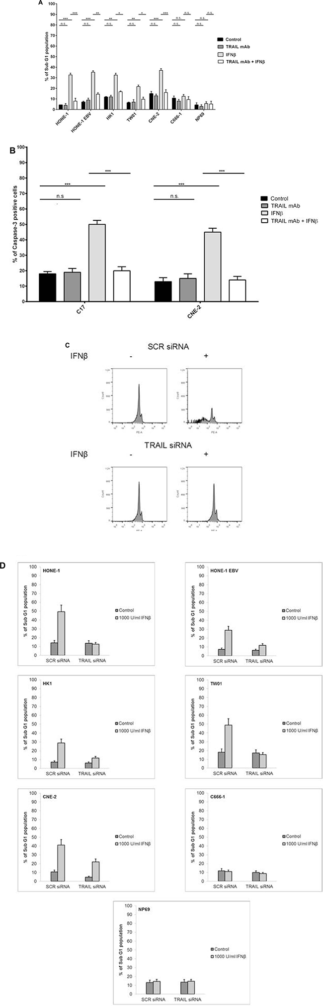 Inhibition of TRAIL inhibits IFN&#x03B2;-induced apoptosis in NPC cells.