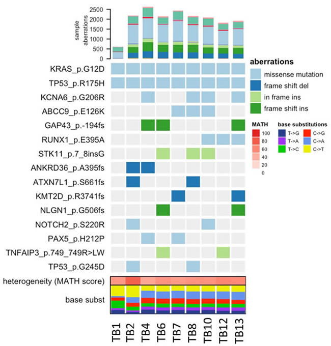 Heatmap of COSMIC mutations detected across tissue samples.