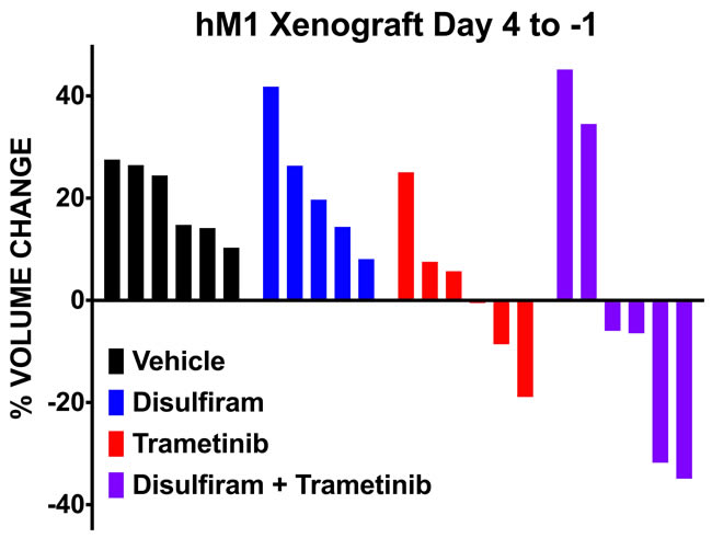 hM1 OGO mouse therapeutic study of selected compounds.