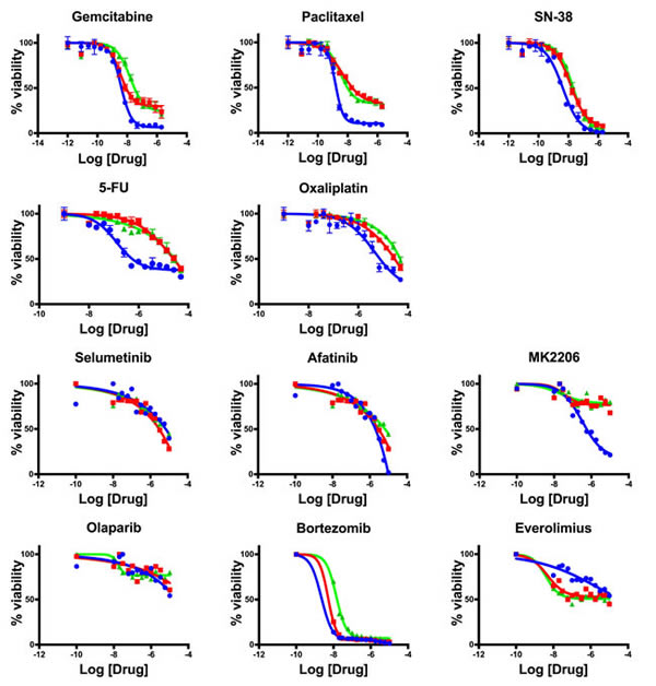 Therapeutic testing of hM1 organoid cultures.