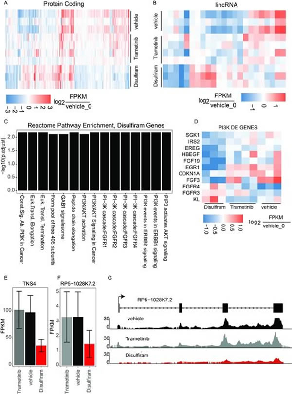 Transcriptional analysis of top drug targets.