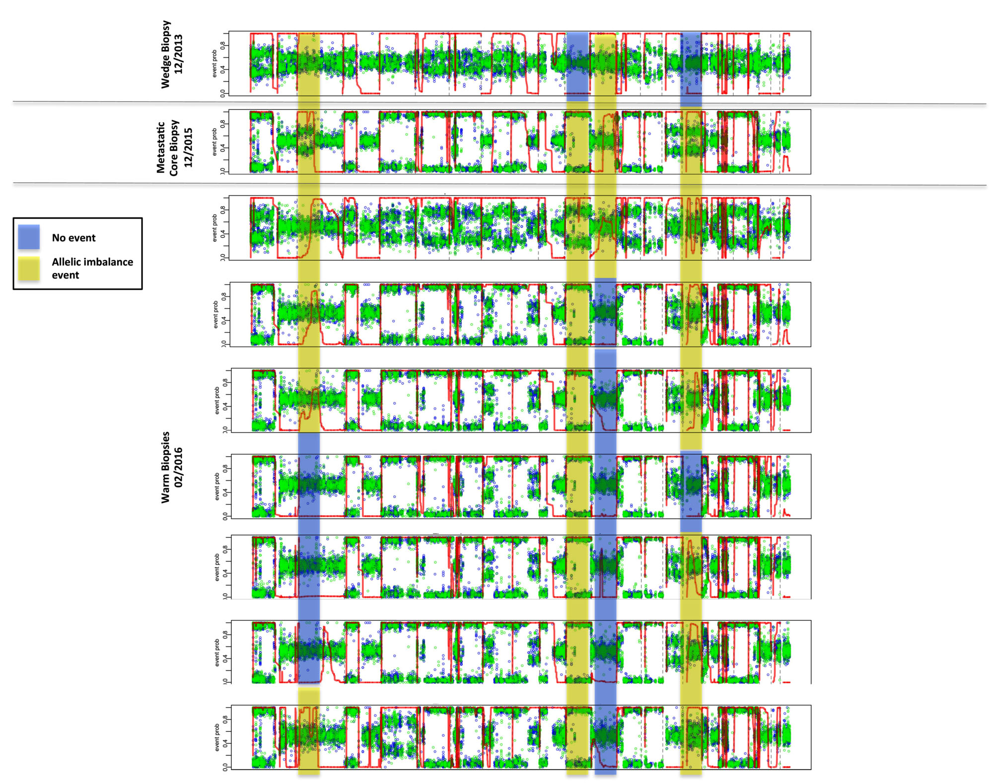 Detection of allelic imbalance events by