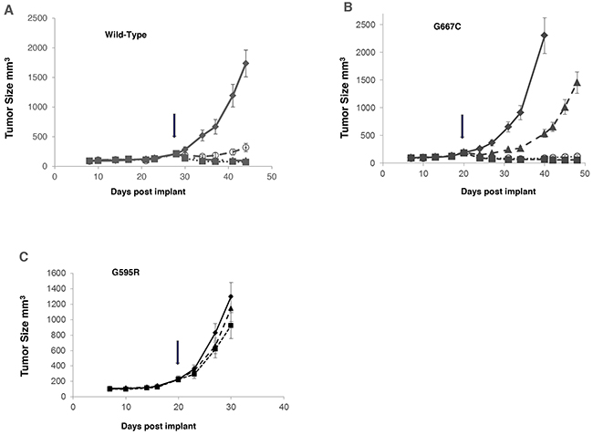 Comparison of anti-tumor effect of merestinib with entrectinib in vivo in tumors bearing G595R or G667C mutation.