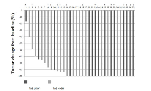 Waterfall plot showing response data for luminal B patients.