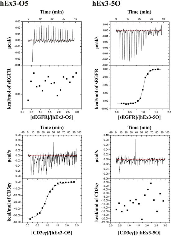 Isothermal titration calorimetry of the interactions of various bispecific diabodies with sEGFR and CD3&#x03B5;&#x03B3;.