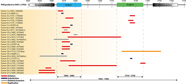 Location of KIT exon 11 mutations in GIST tumour samples as tested with Sanger sequencing or NGS.