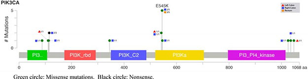 Lollipop plot for PIK3CA mutations according to the tumor location.