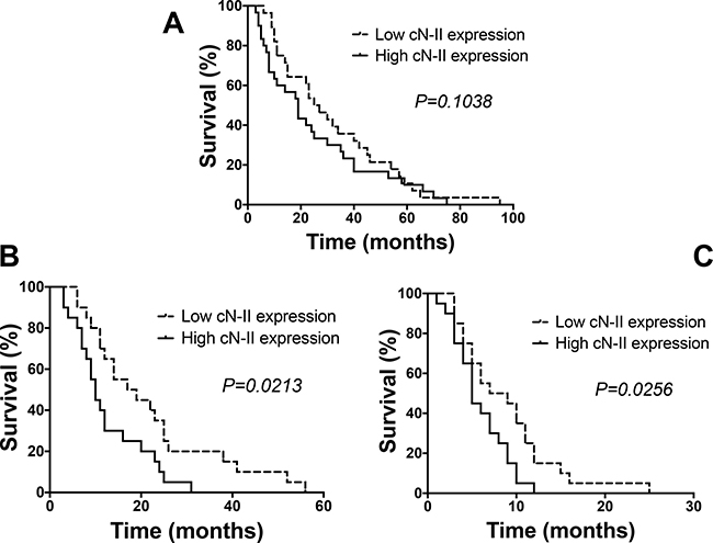 Survival and progression-free survival curves.