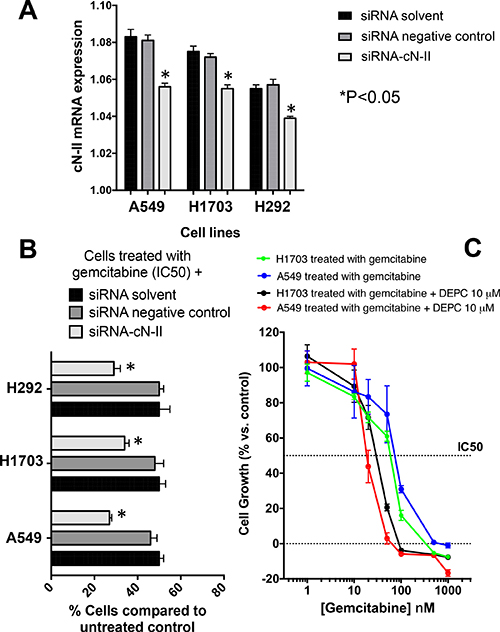 Increased activity of gemcitabine by silencing or pharmacological inhibition of cN-II in NSCLC cell lines.