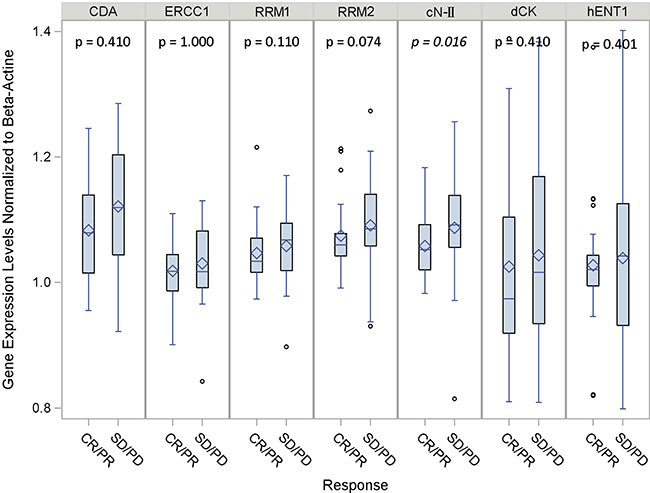 Gene expression levels according to clinical response normalized to &#x03B2;-actin.