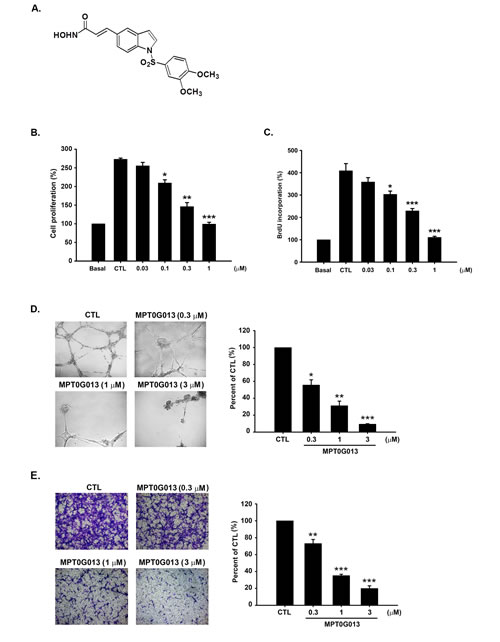 MPT0G013 inhibits angiogenesis