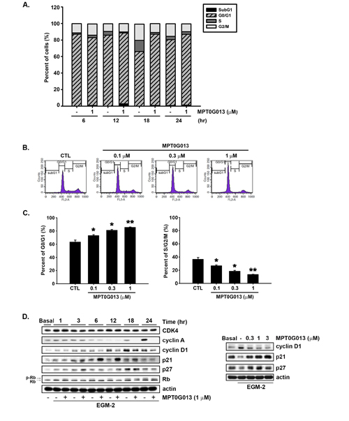 MPT0G013 induces cell cycle arrest in the G0/G1 phase.