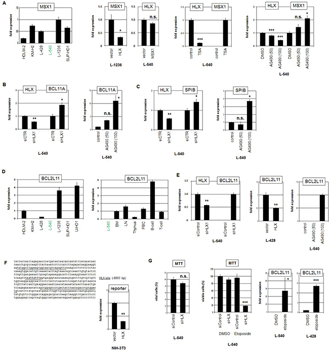 Target genes of HLX in HL.