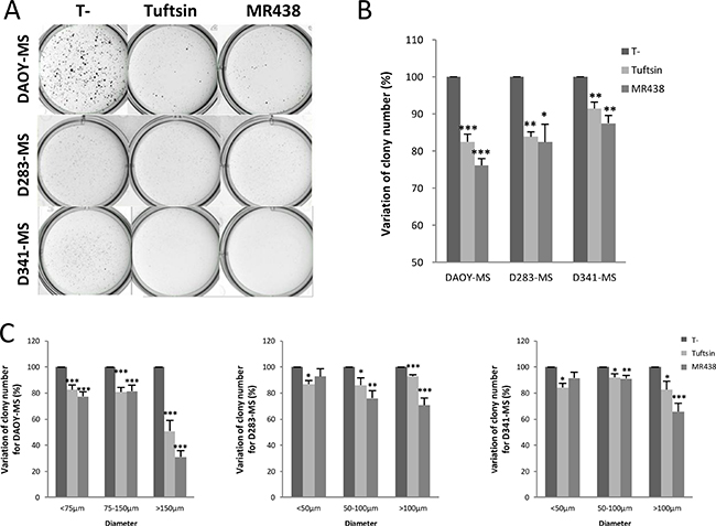 Effects of MR438 or Tuftsin on self-renewal ability by clonogenic assay for DAOY, D283 and D341 stem cells.