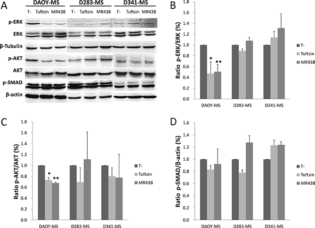 Effects of MR438 or Tuftsin on the key proteins involved in the neuropilin pathways.