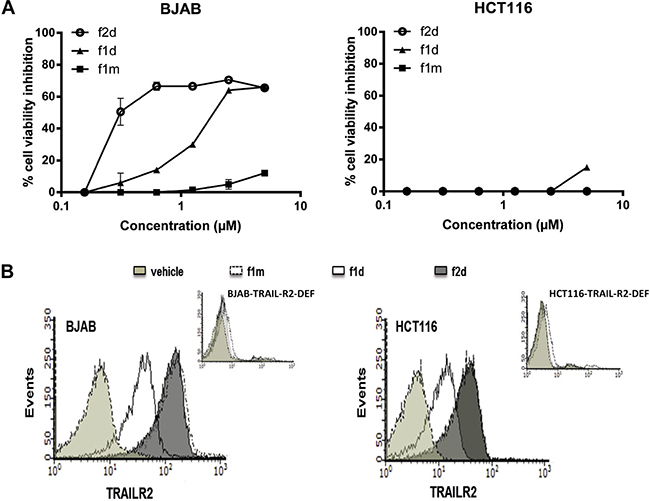 Fluorescent dye Atto488 does not affect peptide mono- or divalent binding activity on BJAB and HCT116.