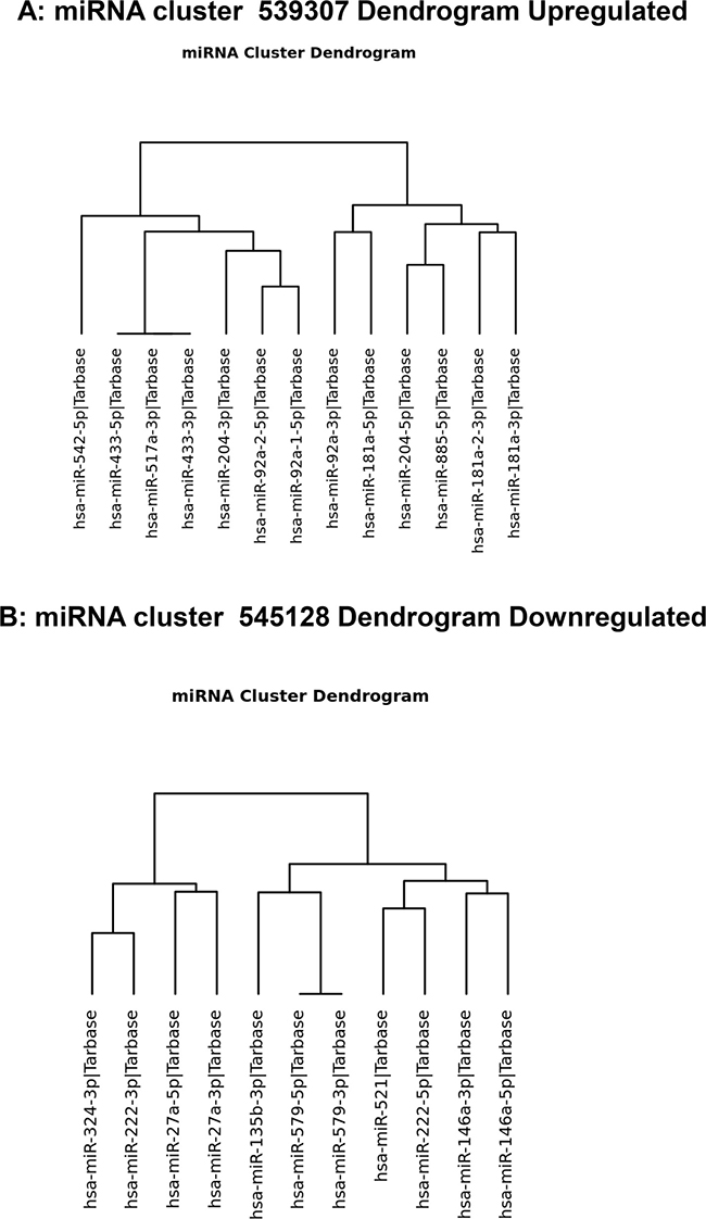 Dendrogram of hierarchical clustering up- and downregulated miRNAs.