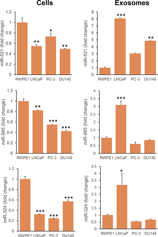 Expression of miR-521, miR-885, and miR-324 in non-neoplastic and neoplastic prostate cells and their exosomes.