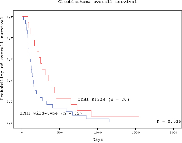 Overall survival of GBM patients with IDH1 R132H-mutated (red line) and IDH1 wild type (blue line) tumors (log-rank test).
