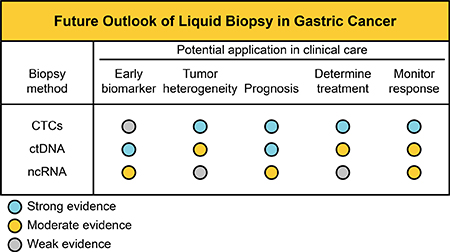 Potential application of liquid biopsies in GC management.