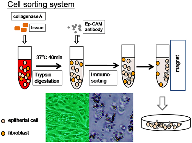 Overview of liquid microdissection technique.