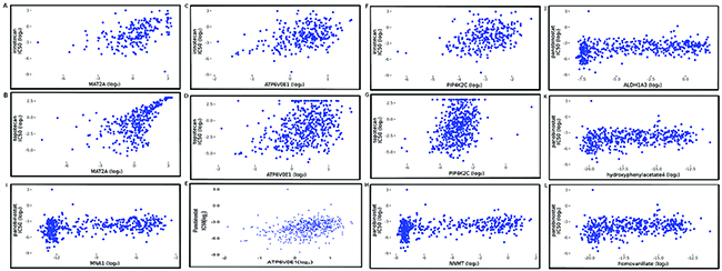 Spearman correlation plots between simulation value of MCPM components and IC50 value of drug treatments.
