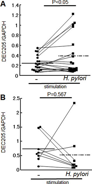 DEC205 mRNA level in PBMCs.