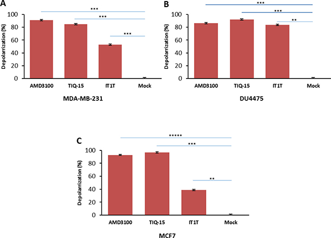 Effect of small molecule CXCR4 antagonists on breast cancer cells.