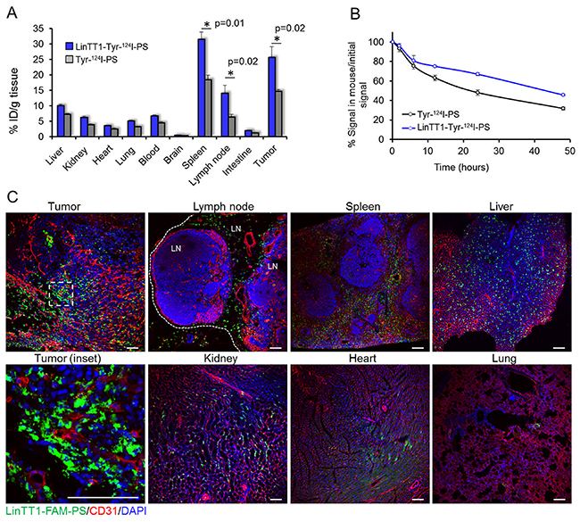 Biodistribution of radioactive and fluorescent polymersomes in 4T1 tumor mice.