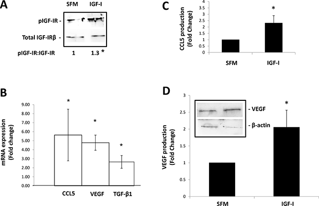 IGF-I can directly induce the expression of mRNA transcripts that define the tumor-promoting phenotype of neutrophils.