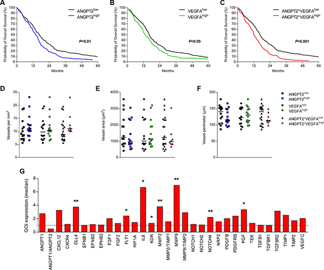 Combined high expression of Ang-2 and VEGFA associates with survival and increased IL-8 expression.