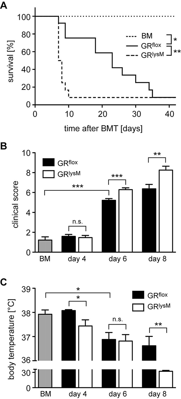 Mortality and clinical features of aGvHD in the GRlysM model.