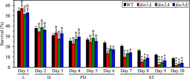 Effects of the fox1&#x0394;, fox2&#x0394; and fox3&#x0394; mutations on cell susceptibility to liponecrotic RCD in yeast cultured under CR conditions.