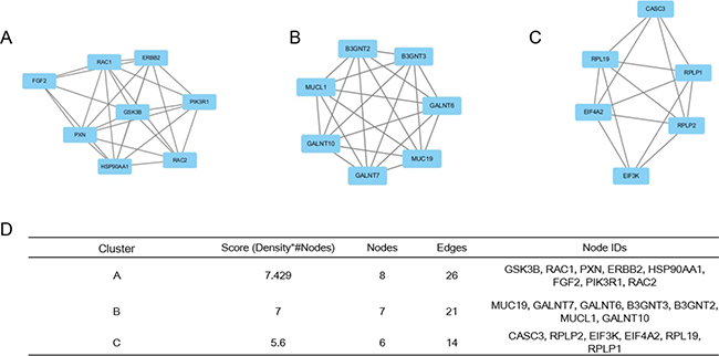 Top 3 modules from the protein&#x2013;protein interaction network.