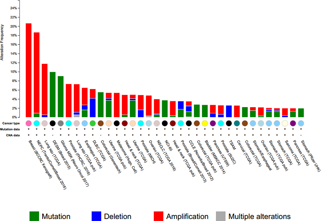Cross-cancer alteration summary for GSK3B (166 studies/1 gene).