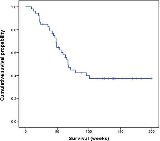 Cumulative overall survival of all patients analyzed in this study.