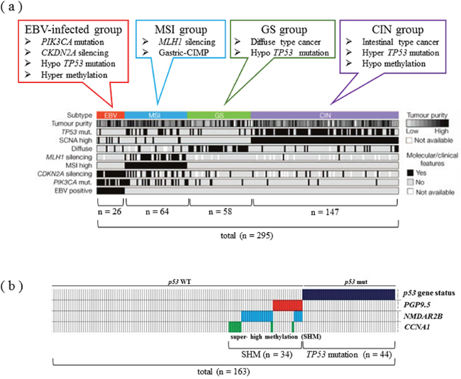 Classification and features of carcinogenic mechanisms through a comprehensive molecular search in GC.