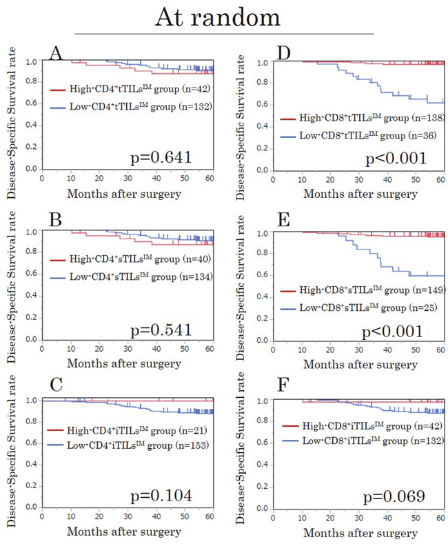 Kaplan-Meier survival curves for the disease-specific survival according to the density of CD4/CD8&#x002B; TILs at the invasive margin (TILsIM) in randomly selected fields in the validation study.