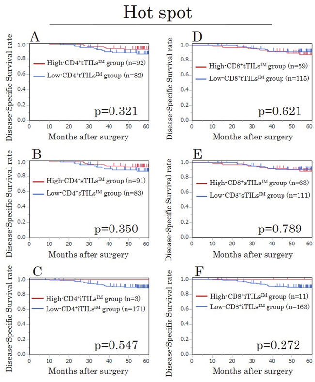 Kaplan-Meier survival curves for the disease-specific survival according to the density of CD4/CD8&#x002B; TILs at the invasive margin (TILsIM) focusing on hot spots in the validation study.