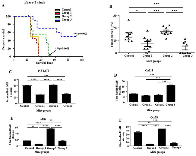 Survival analysis and tumor burden of mice with ongoing momelotinib treatment in Phase 3; quantitative comparison of P-STAT3, CA125, c-Kit and Oct3/4 immunohistochemical analysis of tumor xenografts derived from mice in Phase 3.