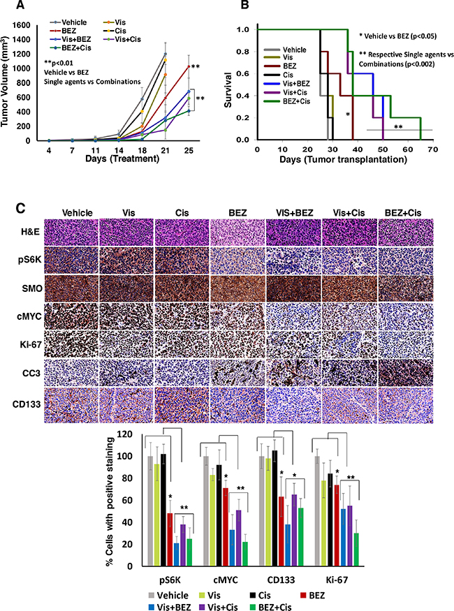 Combined in vivo anti-MB efficacies of inhibitors against HD-MB03 xenografts mice.