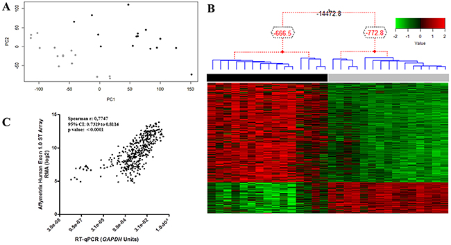 ESCC global gene expression profile.