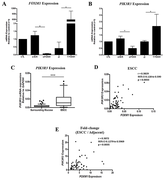 Identification of a positive association between FOXM1 and PIK3R3 expression in ESCC.