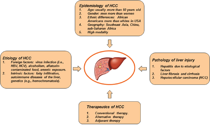 General characteristics of HCC.