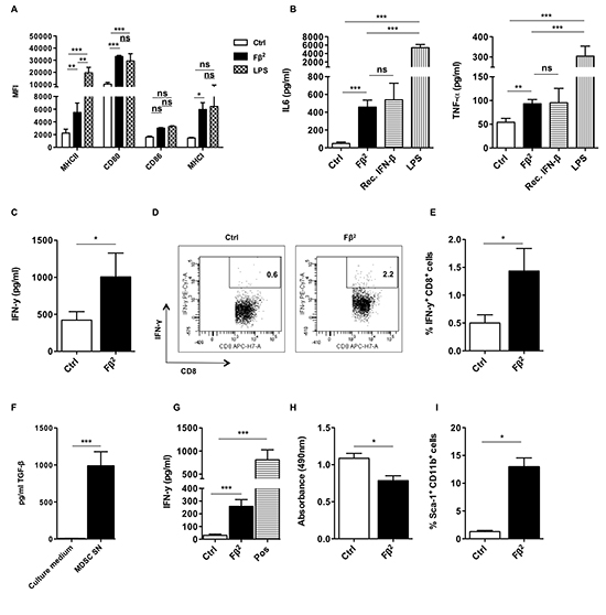 The F&#x03B2;2 fusokine modulates myeloid cells to improve CD8+ T cell responses.