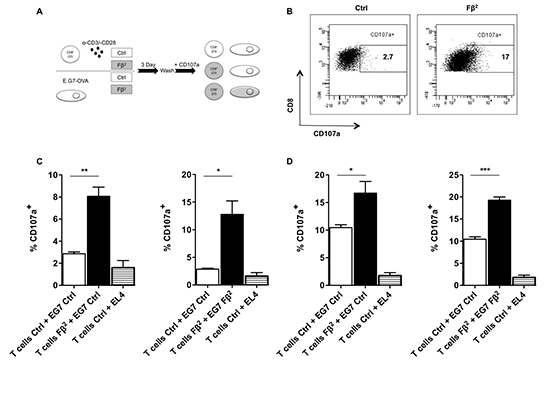 Simultaneous exposure of tumor cells and CD8 T cells to F&#x03B2;2 significantly enhances the killing capacities of antigen-specific T cells.