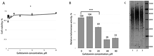 Gallotannin inhibits telomerase in vivo.