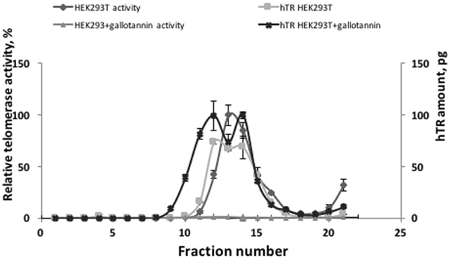 Gallotannin does not affect telomerase complex assembly.