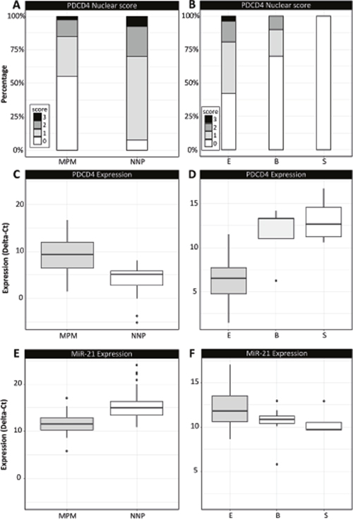 Immunohistochemical and qRT-PCR data analysis in MPM and NNP cohorts.